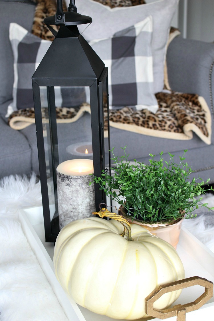coffee-table-fall-decorations