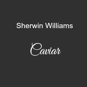 Sherwin deals williams caviar