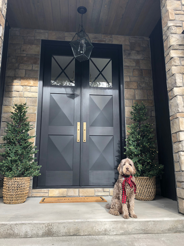 outdoor-christmas-patio-decorations-with-pets