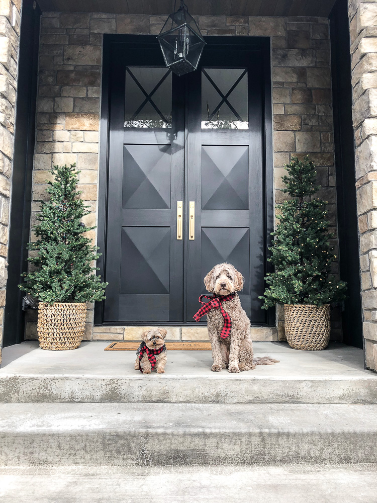 The Forest Modern Christmas Home Tour: The Kitchen - The House of Silver  Lining