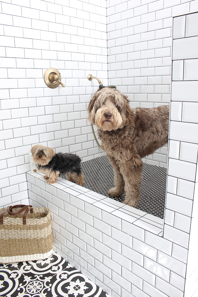 Dog shower deals in laundry room