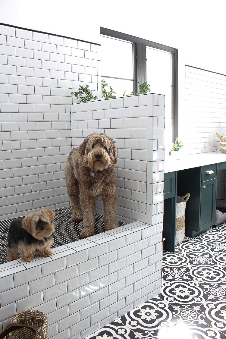 tile dog wash station