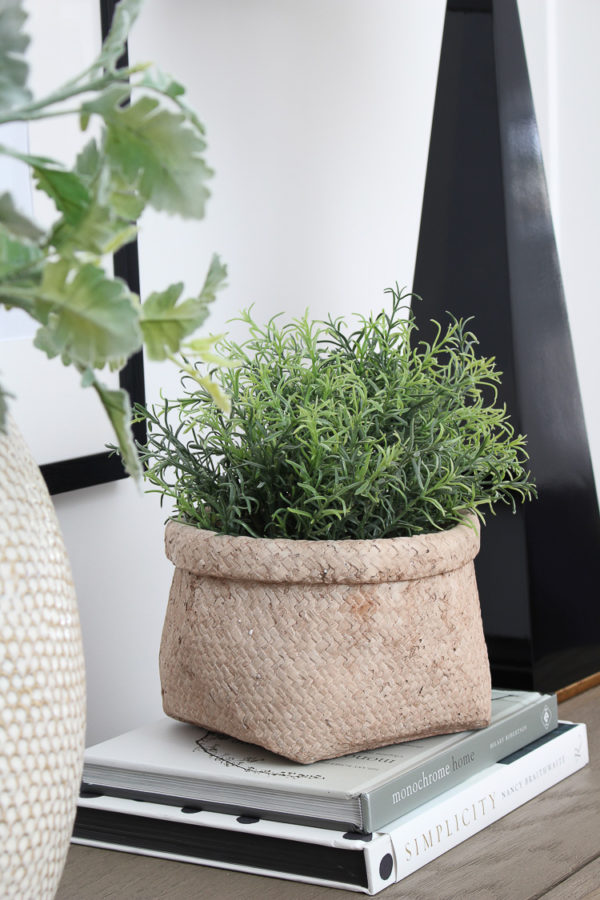 Modern Organic Front Entry Foyer - The House of Silver Lining