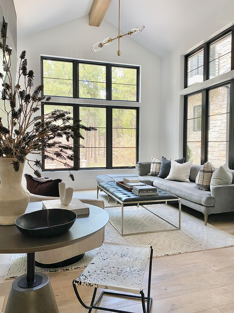 modern-transitional-family-room-large-andersen-windows